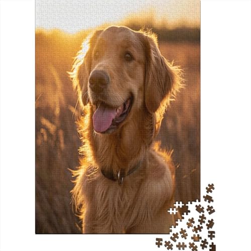 Golden Retriever Puzzle 1000 Teile,Puzzle Für Erwachsene, Impossible Puzzle, Geschicklichkeitsspiel Für Die Ganze Familie,Puzzle Farbenfrohes,Puzzle-Geschenk,Raumdekoration Puzzel 1000pcs (75x50cm) von AOLENFKR