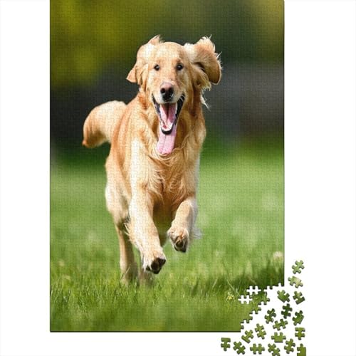 Golden Retriever Puzzlespiel 1000 Teile, Puzzle Erwachsene 1000 Teile, Impossible Puzzle Geschicklichkeitsspiel Für Die Ganze Familie, Puzzle Erwachsene 1000 Teile Puzzel 1000pcs (75x50cm) von AOLENFKR