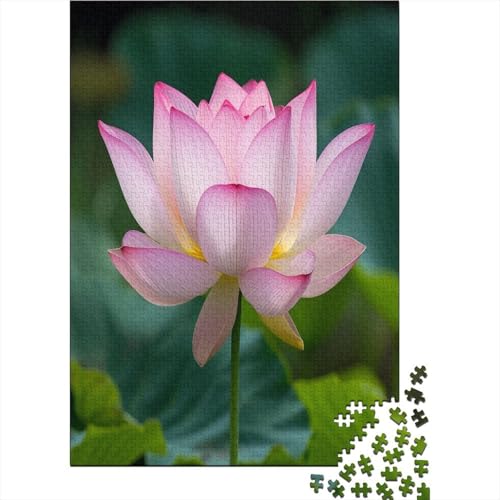 Lotus 1000 Teile, Impossible Puzzle,Geschicklichkeitsspiel Für Die Ganze Familie, Erwachsenenpuzzle Ab 14 Jahren Puzzel 1000pcs (75x50cm) von AOLENFKR