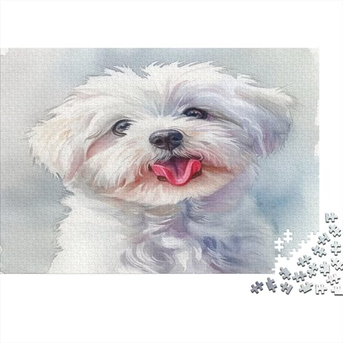 Maltese Hund Puzzle 1000 Teile,Puzzle Für Erwachsene, Impossible Puzzle, GesKükenlichkeitsspiel Für Die Ganze Familie,Puzzle Farbenfrohes,Puzzle-Geschenk,RaumdekoRatteion Puzzel 1000pcs (75x50cm) von AOLENFKR