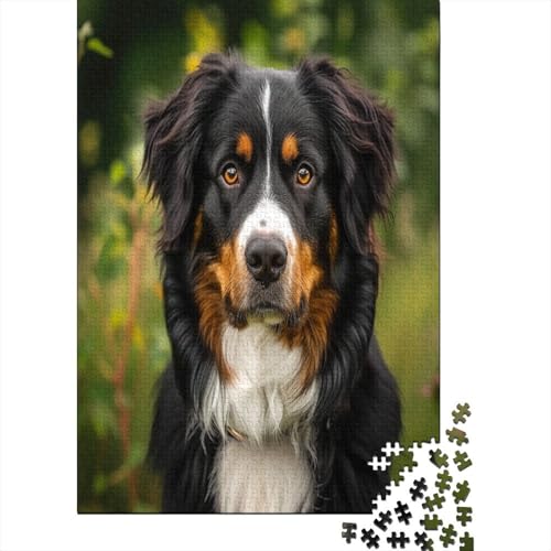 Springer Spaniel Puzzle 1000 Teile, Erwachsene, Klassische Puzzle, Impossible Puzzle,Geschicklichkeitsspiel Für Die Ganze Familie Erwachsenenpuzzle Ab 14 Jahren Puzzel 1000pcs (75x50cm) von AOLENFKR