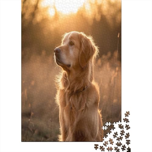 Golden Retriever 1000 Stück Puzzles Für Erwachsene Teenager Stress Abbauen Familien-Puzzlespiel 1000-teiliges Puzzle Kinder Lernspiel Spielzeug Geschenk Puzzel 1000pcs (75x50cm) von AOREFGZZE