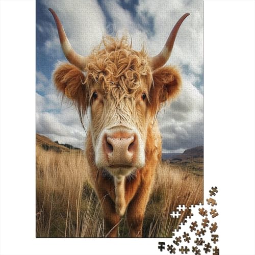 Highland Kattle Puzzle 1000 Teile, Erwachsene, Klassische Puzzle, Impossible Puzzle,Geschicklichkeitsspiel Für Die Ganze Familie Erwachsenenpuzzle Ab 14 Jahren Puzzel 1000pcs (75x50cm) von AOREFGZZE