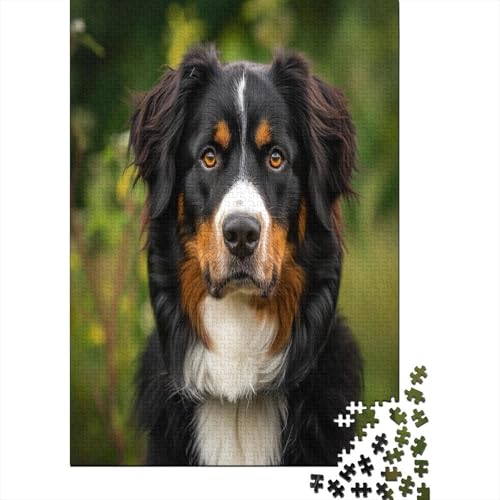 Springer Spaniel 1000 Stück Puzzles Für Erwachsene Teenager Stress Abbauen Familien-Puzzlespiel 1000-teiliges Puzzle Kinder Lernspiel Spielzeug Geschenk Puzzel 1000pcs (75x50cm) von AOREFGZZE