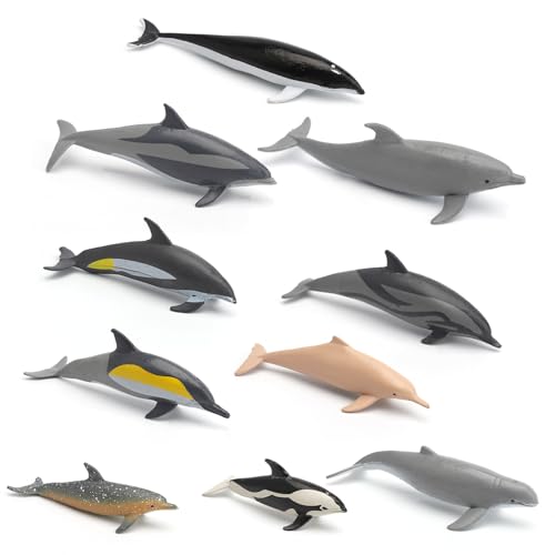 APOMOONS 10 Stück Meerestiere Figuren, Pädagogisches Marine Tiere-Figuren Set Ocean Spielfiguren, Simulation Mini Delphin Modelle Badewannenspielzeug Kinder für Spiel, Dekoration APOMOONS 10 Stück Meerestiere Figuren, Pädagogisches Marine Tiere-Figuren Set Ocean Spielfiguren, Simulation Mini Delphin Modelle Badewannenspielzeug Kinder für Spiel, Dekoration von APOMOONS