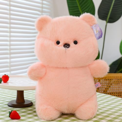 AQCQDQ Bär Kuscheltier, Kuschelbären, Teddybär Plüschtier, Braunbär Kuscheltier, Niedlich Dorky Bär Puppe Plüsch Spielzeug Kuscheln Schlaf Puppe Geschenk für Kinder (25cm,Rosa) von AQCQDQ