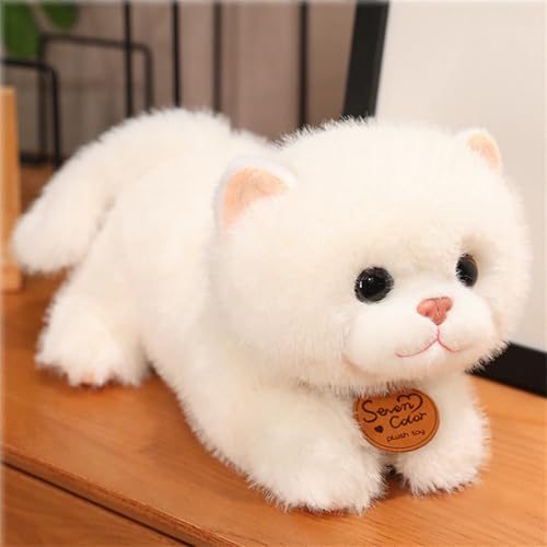 AQCQDQ Kuscheltier Katze Lebensecht, Lebensechte Katze Plüschtier, Stofftier Kopfkissen Plüsch Katzenform Kissen, Niedliche Kätzchenpuppe, Kuscheltier Spielzeug für Kinder Geschenk (35 cm,Weiße-A) AQCQDQ Kuscheltier Katze Lebensecht, Lebensechte Katze Plüschtier, Stofftier Kopfkissen Plüsch Katzenform Kissen, Niedliche Kätzchenpuppe, Kuscheltier Spielzeug für Kinder Geschenk (35 cm,Weiße-A) von AQCQDQ
