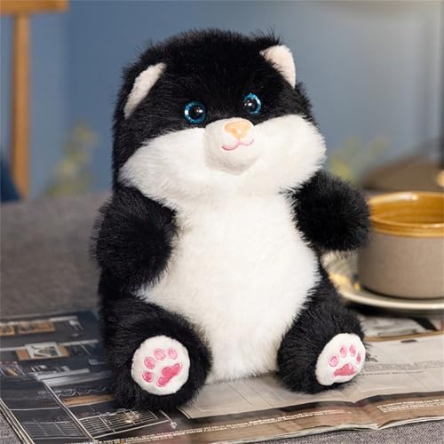 AQCQDQ Kuscheltier Katze zum Kuscheln und Spielen, 20 cm Plüschtier Stofftier Kawaii Katze Plüsch Kissen Spielzeug Kätzchen Plüsch Wurfkissen Geschenk für Kinder (Schwarze Katze) von AQCQDQ