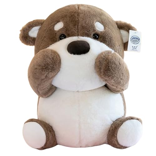 AQCQDQ Schnabeltier-Plüsch, Plüschtier Schnabeltier Kuscheltier, lebensecht gestaltetes Kuscheltier, Geschenk für Freunde und Kinder pelziges Stofftier (62 cm,B) von AQCQDQ