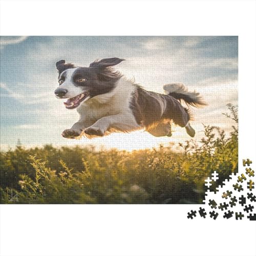 Border Collie 1000 Teile, Impossible Puzzle,Geschicklichkeitsspiel Für Die Ganze Familie, Erwachsenenpuzzle Ab 14 Jahren Puzzel 1000pcs (75x50cm) von AQOVARLUX