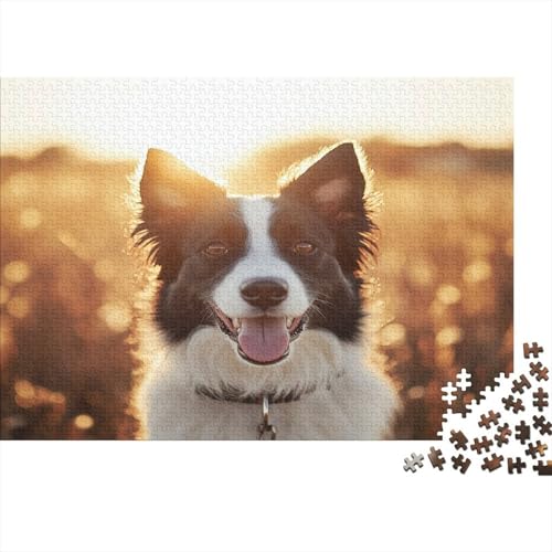 Border Collie Puzzlespiel 1000 Teile Puzzle Für Erwachsene Und Kinder Ab 14 Jahren, Erwachsenen Puzzlespiel Puzzel 1000pcs (75x50cm) von AQOVARLUX