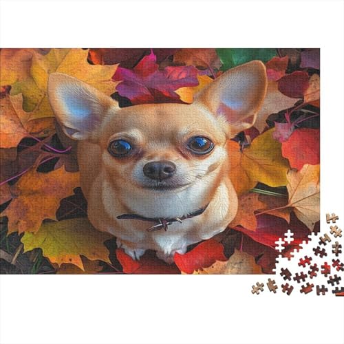 Chihuahua 1000 Stück Puzzles Für Erwachsene Teenager Stress Abbauen Familien-Puzzlespiel 1000-teiliges Puzzle Kinder Lernspiel Spielzeug Geschenk Puzzel 1000pcs (75x50cm) von AQOVARLUX