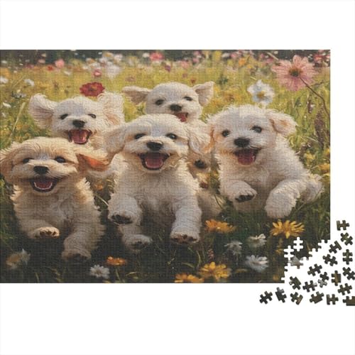 Maltesischr Hund 1000 Teile, Impossible Puzzle,Geschicklichkeitsspiel Für Die Ganze Familie, Erwachsenenpuzzle Ab 14 Jahren Puzzel 1000pcs (75x50cm) von AQOVARLUX