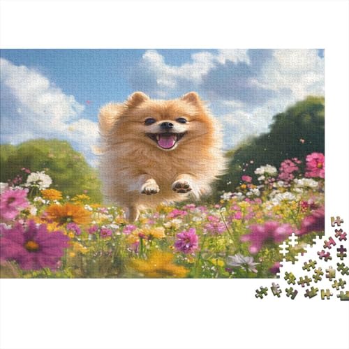 Pommersch Puzzle 1000 Teile Puzzle Für Erwachsene Und Kinder Ab 14 Jahren Puzzel 1000pcs (75x50cm) von AQOVARLUX