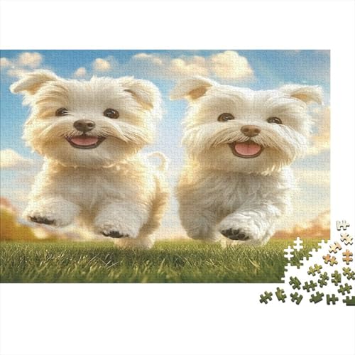 West Highland White Terrier 1000 Stück Puzzles Für Erwachsene Teenager Stress Abbauen Familien-Puzzlespiel 1000-teiliges Puzzle Kinder Lernspiel Spielzeug Geschenk Puzzel 1000pcs (75x50cm) von AQOVARLUX