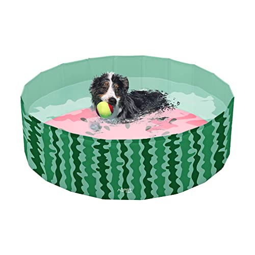 AQPET AqpetFriends Schwimmbad aus Kunststoff für Hunde, Haustiere, faltbar, für den Garten 160 x 30 cm (ØxH) von AQPET