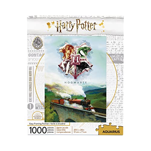 Harry Potter 65344 Express Puzzle, Mehrfarbig, 1000 von AQUARIUS