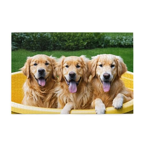 Holzpuzzle, 1000 Teile, herausforderndes Bilderpuzzle, bestes Geschenk für Erwachsene, 75 x 50 cm (Golden Retriever, Hunde, Welpen, Haustiere) von ASPOIJHN