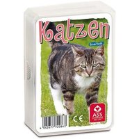 ASS 22572086 Quartett - Katzen von ASS