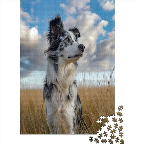 Australischer Schäferhund 1000 Teile, Impossible Puzzle,Geschicklichkeitsspiel Für Die Ganze Familie, Erwachsenenpuzzle Ab 14 Jahren Puzzel 1000pcs (75x50cm) von ATBNBNUIE