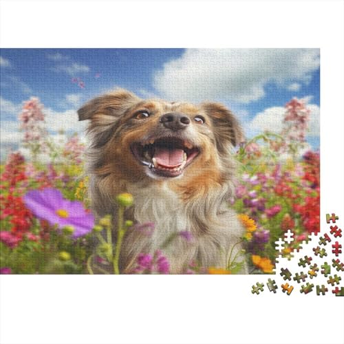 Australischer Schäferhund Puzzle 1000 Teile,Puzzle Für Erwachsene, Impossible Puzzle, Geschicklichkeitsspiel Für Die Ganze Familie,Puzzle Legespiel- Erwachsenenpuzzle Puzzel 1000pcs (75x50cm) von ATBNBNUIE