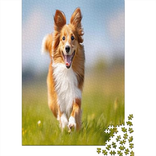 Australischer Schäferhund Puzzle 1000 Teile,Puzzle Für Erwachsene, Impossible Puzzle,Puzzle Farbenfrohes Legespiel,Geschicklichkeitsspiel Für Die Ganze Familie Puzzel 1000pcs (75x50cm) von ATBNBNUIE