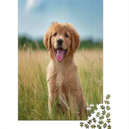 Golden Retriever Puzzle 1000 Teile,Puzzle Für Erwachsene, Impossible Puzzle,Puzzle Farbenfrohes Legespiel,Geschicklichkeitsspiel Für Die Ganze Familie Puzzel 1000pcs (75x50cm) von ATBNBNUIE