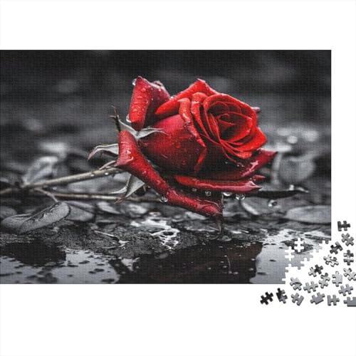 Rose Puzzlespiel 1000 Teile Puzzle Für Erwachsene Und Kinder Ab 14 Jahren, Puzzle Erwachsenen Puzzlespi Puzzel 1000pcs (75x50cm) von ATBNBNUIE