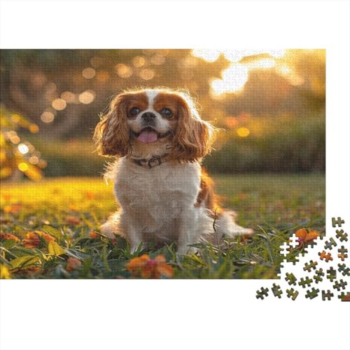 Shih Tzu. Puzzle 1000 Teile, Erwachsene, Klassische Puzzle, Impossible Puzzle,Geschicklichkeitsspiel Für Die Ganze Familie Erwachsenenpuzzle Ab 14 Jahren Puzzel 1000pcs (75x50cm) von ATBNBNUIE