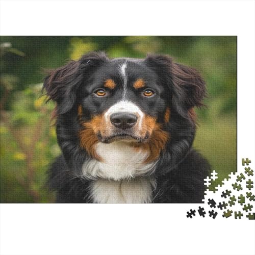 Springer Spaniel Puzzle 1000 Teile,Puzzle Für Erwachsene, Impossible Puzzle, Geschicklichkeitsspiel Für Die Ganze Familie,Puzzle Farbenfrohes,Puzzle-Geschenk,Raumdekoration Puzzel 1000pcs (75x50cm) von ATBNBNUIE