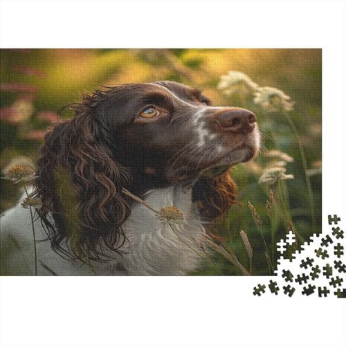 Springer Spaniel Puzzle 1000 Teile Erwachsener Kniffel Spaß Für Die Ganze Familie - Abwechslungsreiche 1000 Puzzleteilige Motive Puzzle Erwachsene, Puzzel 1000pcs (75x50cm) von ATBNBNUIE