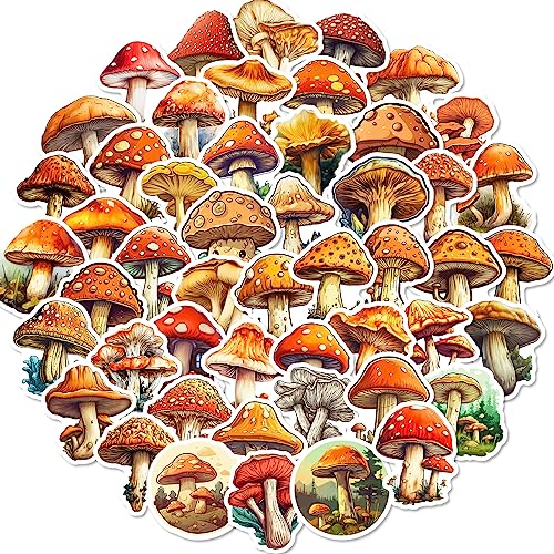 AUCEKO 50 Stück Pilze Aufkleber Pack Mushroom Sticker Set wasserdichte Vinyl Sticker für Laptop Kinder Autos Motorrad Fahrrad Skateboard Gepäck Koffer Computer Aufkleber Graffiti Decal von AUCEKO