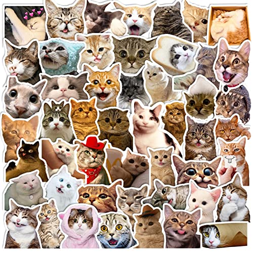 AUCEKO 50 Stück Katze Katze Aufkleber Pack Katze Katze Sticker Set wasserdichte Vinyl Sticker für Laptop Kinder Autos Motorrad Fahrrad Skateboard Gepäck Koffer Computer Aufkleber Graffiti Decal von AUCEKO