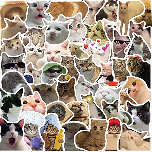 AUCEKO 50 Stück Meme Cat Aufkleber Pack Meme Katze Sticker Set wasserdichte Vinyl Sticker für Laptop Kinder Autos Motorrad Fahrrad Skateboard Gepäck Koffer Computer Aufkleber Graffiti Decal von AUCEKO