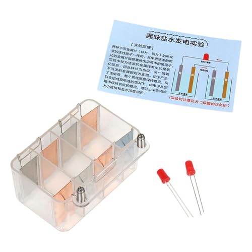 ＡＷＨＡＯ DIY Salzwasser Stromgenerator, DIY Wissenschaftliches Experimentierset für von ＡＷＨＡＯ