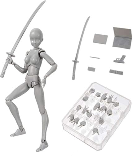 Action Figures Body-Kun DX & Body-Chan DX PVC Figur Modellzeichnung für S H Figuarts mit Box für Künstler (Grau, Weiblich) von AXXHOTHO