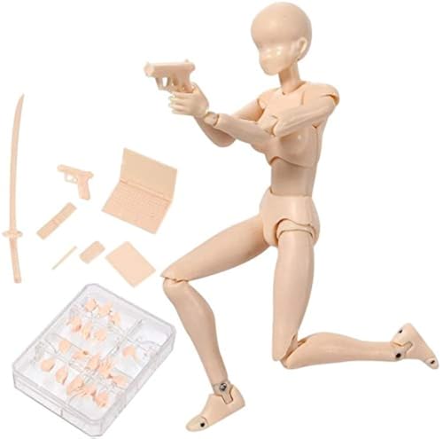 Action Figures Body-Kun DX & Body-Chan DX PVC Figur Modellzeichnung für S H Figuarts mit Box für Künstler (Hautfarbe, Weiblich) von AXXHOTHO