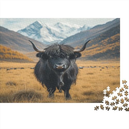 Highland Kattle Puzzle 1000 Teile,Puzzlespiel Für Erwachsene,Impossible Puzzle,Puzzle GesKükenlichkeitsspiel Für Die Ganze Familie, Geschenke Für Männer/Frauen Erwachsenen Puzzel 1000pcs (75x50cm) von AYZOFCNDK