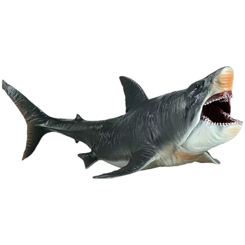 Megalodon -Spielzeug 10.63x5.51x3.94 Bewegbare Mund Megalodon Hai Spielzeug große Simulation Meer Kreatur Spielzeug realistische Plastik Ozean Tierhai Figur Geschenke für Kinder und Erwachsene Hai Sp von AZIDWERYQ