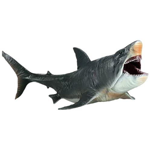 Megalodon Toys 10.63x5.51x3.94 Bewegbare Mund Megalodon Hai Spielzeug große Simulation Meer Kreatur Spielzeug Realistische Kunststoff Ozeiere Tierhai Figur Geschenke für Kinder und Erwachsene von AZIDWERYQ