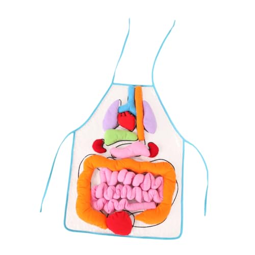 Abaodam 1 Satz menschliche Eingeweide Schürze Multifunktionsschürze Vorschlag Nachtlicht Materialband körper pädagogisches Lernen Schürze Kinderspielzeug Plastik von Abaodam