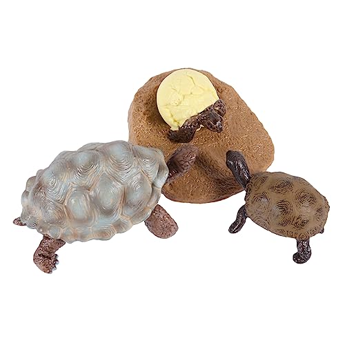 Abaodam 1 Set/4pcs -Simulation Tiere Figuren Lebenszyklus Modell Schildkröte Kognitive Toys von Abaodam