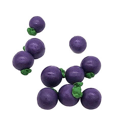 Abaodam 10 STK Mini-Speisemodell Spielspielzeug stressabbau Spielzeug dekompressionsspielzeug weihachtsgeschenk Kitchen Decoration Obst-Mangostan-Modell Küche Obst Mangostan Prop Violett von Abaodam