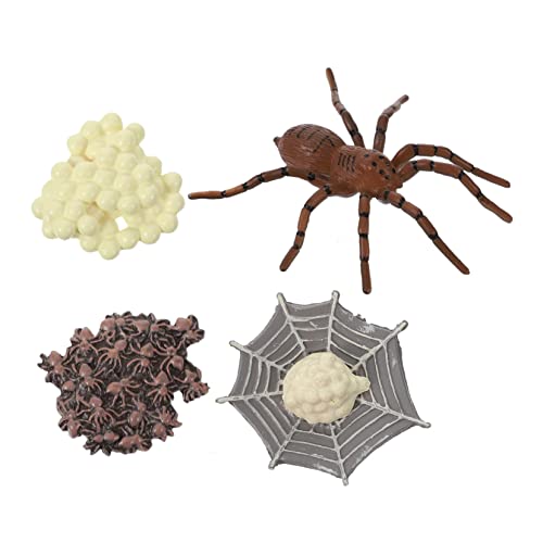 Abaodam 1Satz Tierspielzeugmodell für Lernspielzeug Party Dekoration Realistisches Insekten Evolution Modell Teiliges für Kreative Dekoideen Abaodam 1Satz Tierspielzeugmodell für Lernspielzeug Party Dekoration Realistisches Insekten Evolution Modell Teiliges für Kreative Dekoideen von Abaodam