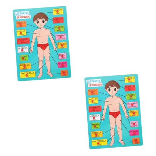 Abaodam 2 Sätze Spanisches Puzzle Menschlicher Körper Modell Puzzle Passendes Spielzeug Kinder Körper Lernspielzeug Menschlicher Körper Puzzle Spielzeug Kinder Erkennungsspielzeug von Abaodam