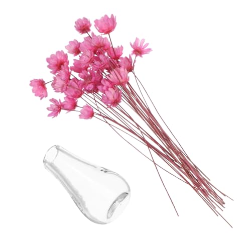Abaodam 2 Stück Miniatur Blumenvasen mit Getrockneten Rosen Kleine Rosa Glasvasen für Puppenhaus-Dekoration Miniatur Getrocknete Blumenarrangements für Mini-Pflanzen und Kreative Abaodam 2 Stück Miniatur Blumenvasen mit Getrockneten Rosen Kleine Rosa Glasvasen für Puppenhaus-Dekoration Miniatur Getrocknete Blumenarrangements für Mini-Pflanzen und Kreative von Abaodam
