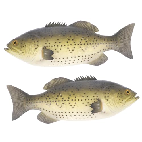 Abaodam 2 Stück Realistische Fischmodell PU Simulation Tierfigur Deko Fisch Skulptur Lebensecht Leicht Vielseitig für Wohn und Klassenzimmerdekoration Abaodam 2 Stück Realistische Fischmodell PU Simulation Tierfigur Deko Fisch Skulptur Lebensecht Leicht Vielseitig für Wohn und Klassenzimmerdekoration von Abaodam
