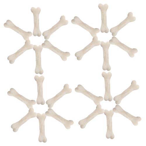 Abaodam 20 Stück Teiliges Mini Knochenmodell Realistische Kleine Hundeknochen aus Resin Detailgetreue Künstliche Knochen Deko für Halloween DIY Bastelprojekte Spielzeugähnlich und Tragbar Abaodam 20 Stück Teiliges Mini Knochenmodell Realistische Kleine Hundeknochen aus Resin Detailgetreue Künstliche Knochen Deko für Halloween DIY Bastelprojekte Spielzeugähnlich und Tragbar von Abaodam