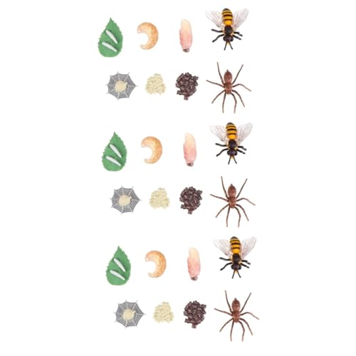 Abaodam 24 Stück Wachstumszyklus Modellmodelle Spielzeug Insektenentwicklungsmodell Simulation Insektenmodell Insektenwachstumsmodell Spielzeugmodell Insektenspielzeug Kunststoff von Abaodam