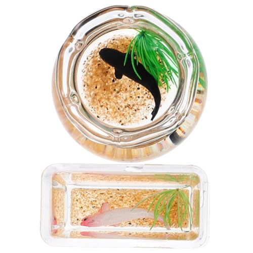 Abaodam 2St Miniatur-Koi-Becken for Minihäuser Dekoration Sanduhr lustig künstlich Aquarium Zubehör Mini Miniaturen Miniatur-Szenendekor Miniatur Fischglas von Abaodam